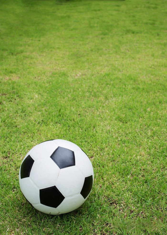 14场胜负彩开奖结果比分应用下载界面